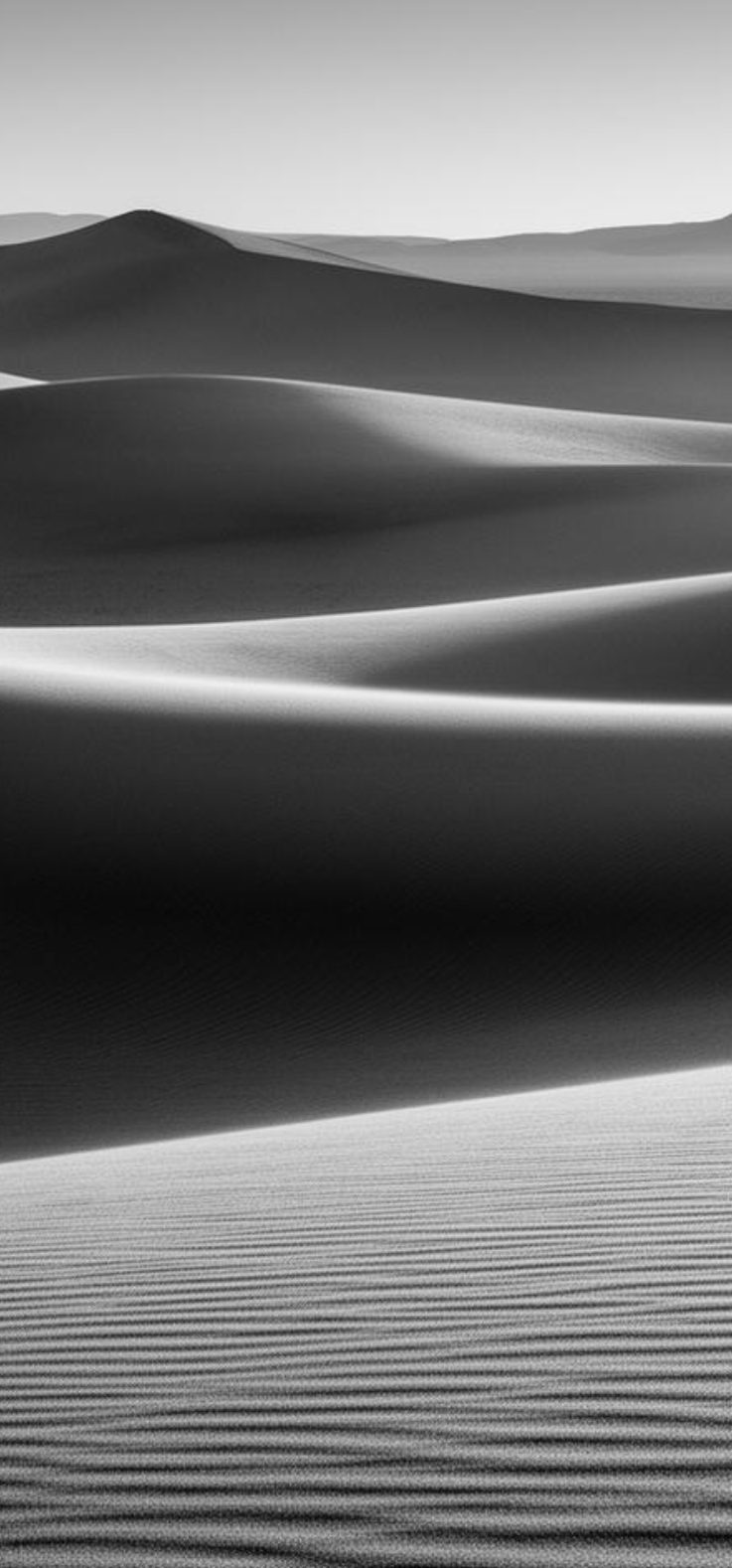 Black-and-white sand dunes in soft light